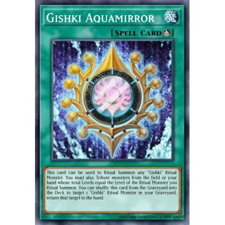 Gishki Aquamirror (Common)