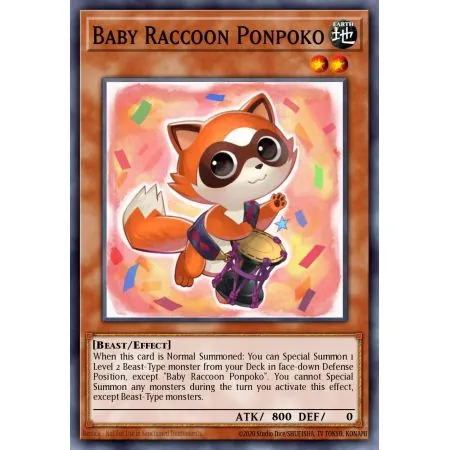 Baby Raccoon Ponpoko (Super Rare)