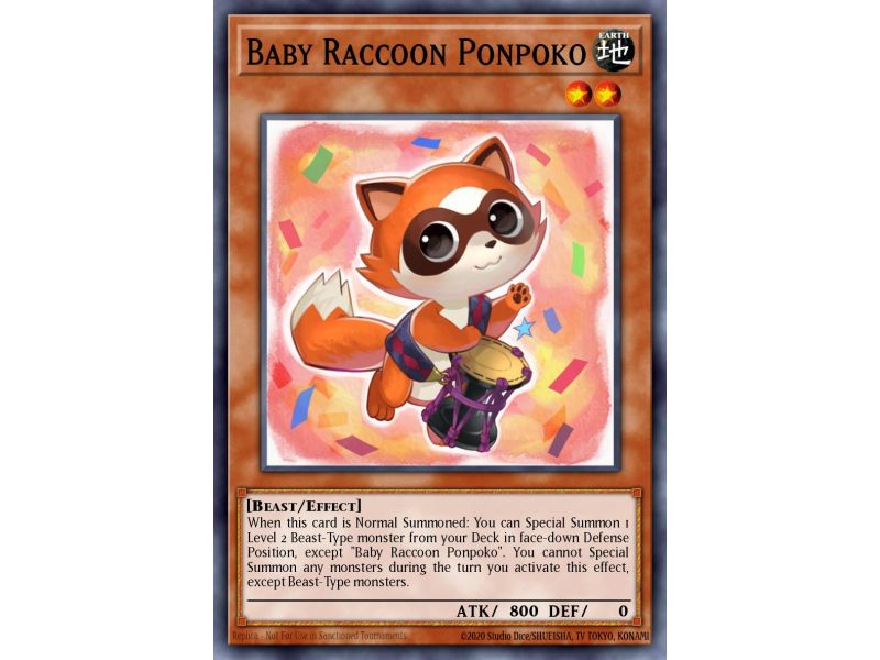 Baby Raccoon Ponpoko (Super Rare)