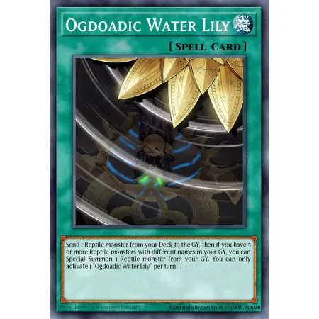 Ogdoadic Water Lily (Common)