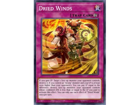 Dried Winds (Common)