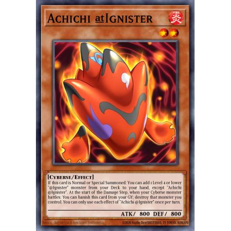 Achichi @Ignister (Common)