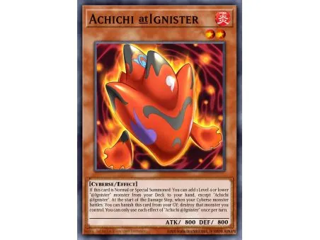 Achichi @Ignister (Common)