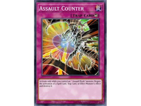 Assault Counter (Common)
