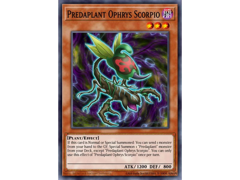 Predaplant Ophrys Scorpio (Common)