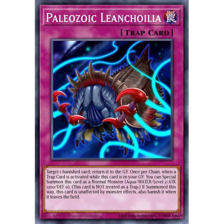 Paleozoic Leanchoilia (Super Rare)