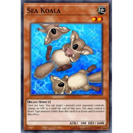Sea Koala (Common)