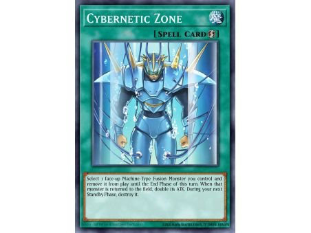 Cybernetic Zone (Common)