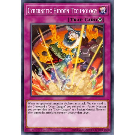 Cybernetic Hidden Technology (Common)