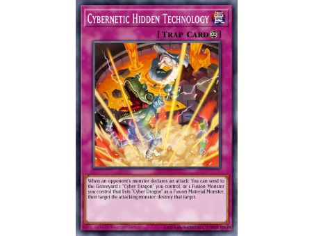 Cybernetic Hidden Technology (Common)