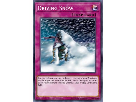 Driving Snow (Common)