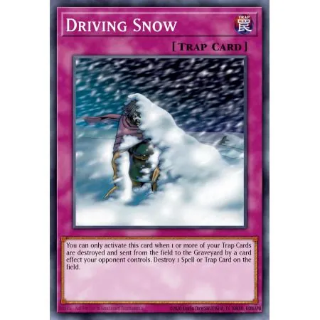 Driving Snow (Common)