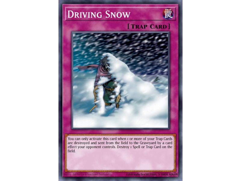 Driving Snow (Common)