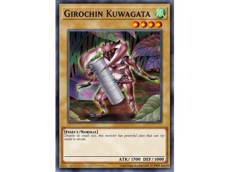 Girochin Kuwagata (Common)