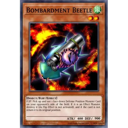 Bombardment Beetle (Common)
