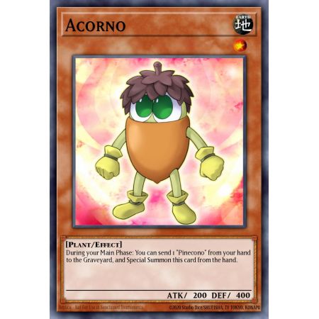 Acorno (Common)