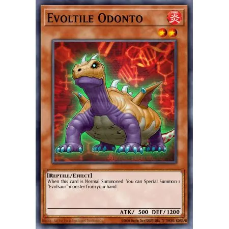Evoltile Odonto (Common)