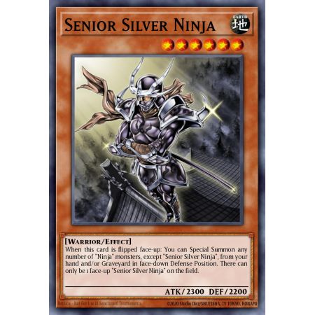 Senior Silver Ninja (Common)