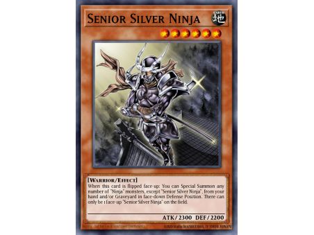 Senior Silver Ninja (Common)