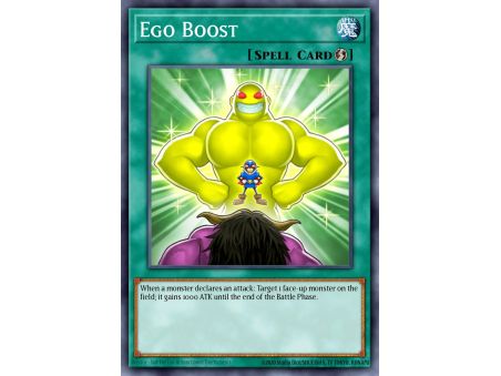 Ego Boost (Common)