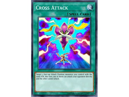 Cross Attack (Common)