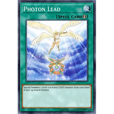 Photon Lead (Common)