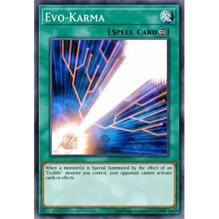 Evo-Karma (Common)