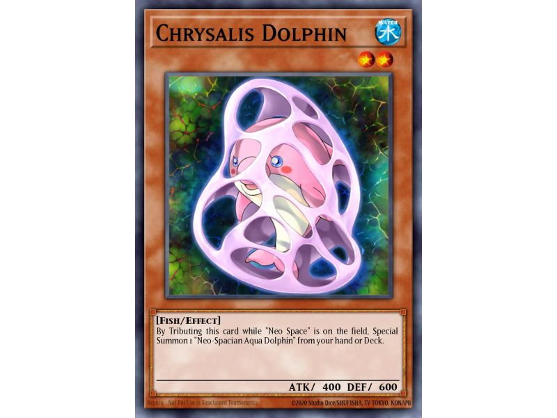 Chrysalis Dolphin (Common)