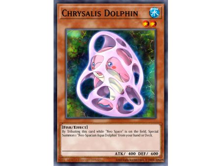 Chrysalis Dolphin (Common)