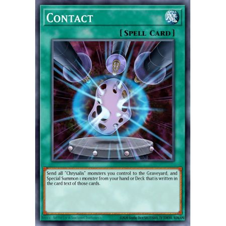 Contact (Common)