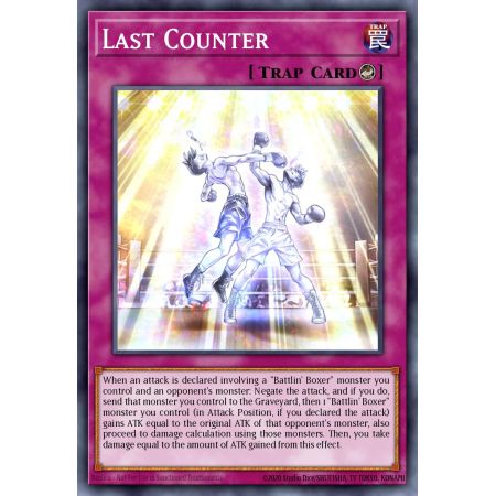 Last Counter (Common)