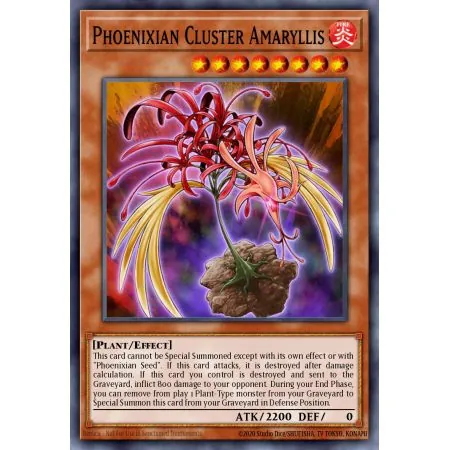 Phoenixian Cluster Amaryllis (Super Rare)