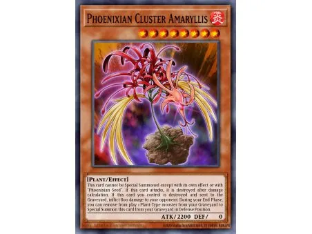 Phoenixian Cluster Amaryllis (Super Rare)