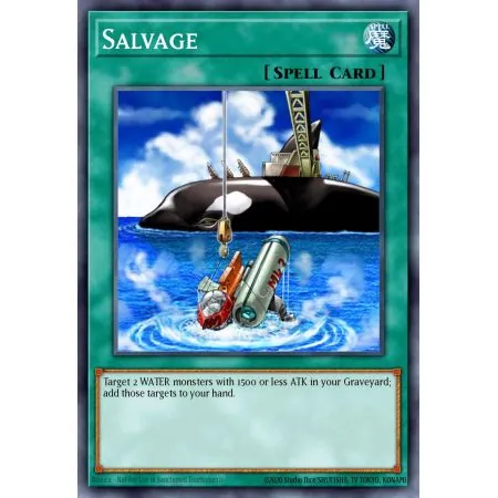 Salvage (Common)