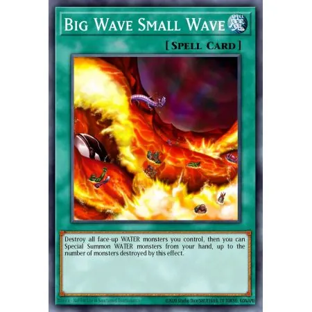 Big Wave Small Wave (Common)