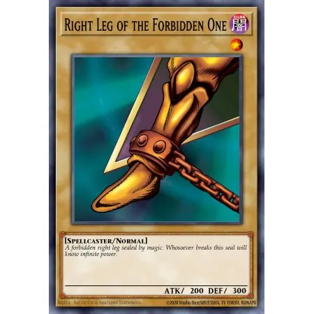 Right Leg of the Forbidden One (Rare)