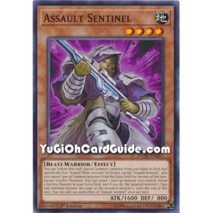 Assault Sentinel (Common)