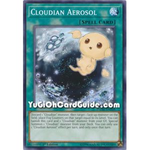 Cloudian Aerosol (Common)