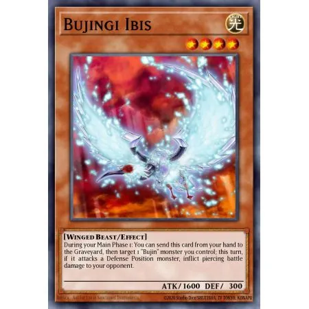 Bujingi Ibis (Common)