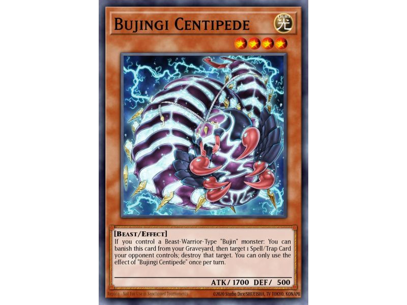 Bujingi Centipede (Common)