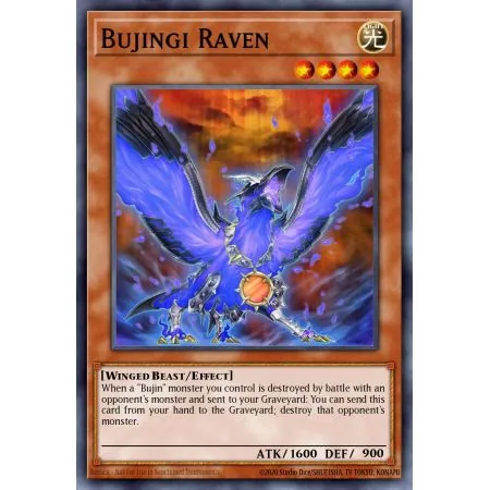 Bujingi Raven (Rare)