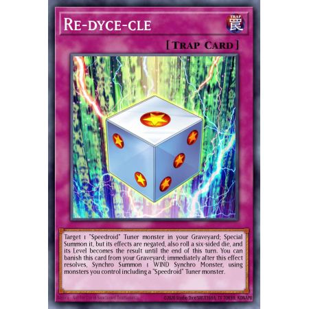 Re-dyce-cle (Common)
