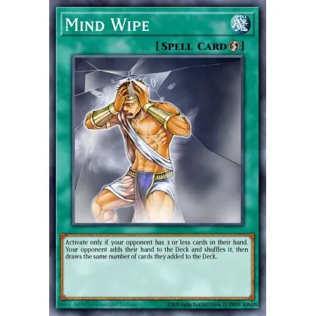 Mind Wipe (Common)