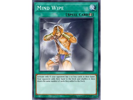 Mind Wipe (Common)