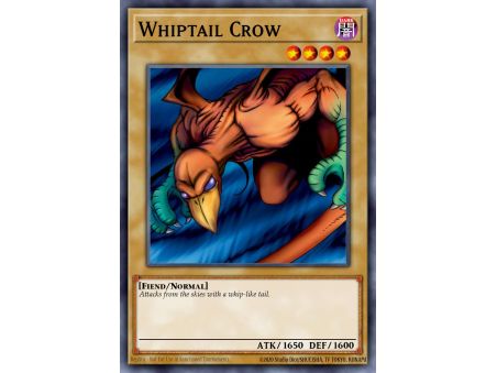 Whiptail Crow (Common)