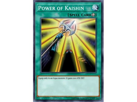 Power of Kaishin (Common)