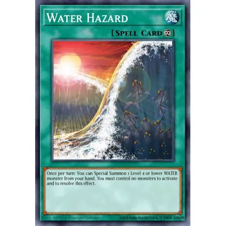 Water Hazard (Common)