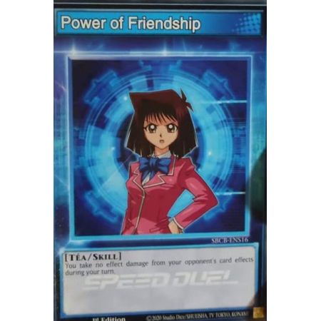 Power of Friendship (Common)