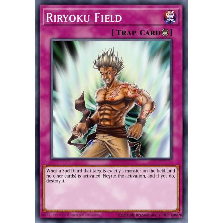 Riryoku Field (Common)
