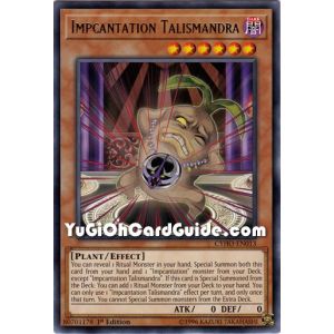 Impcantation Talismandra (Rare)